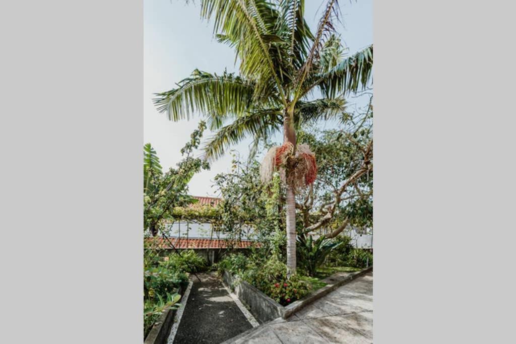 City View Gardens 푼샬 외부 사진